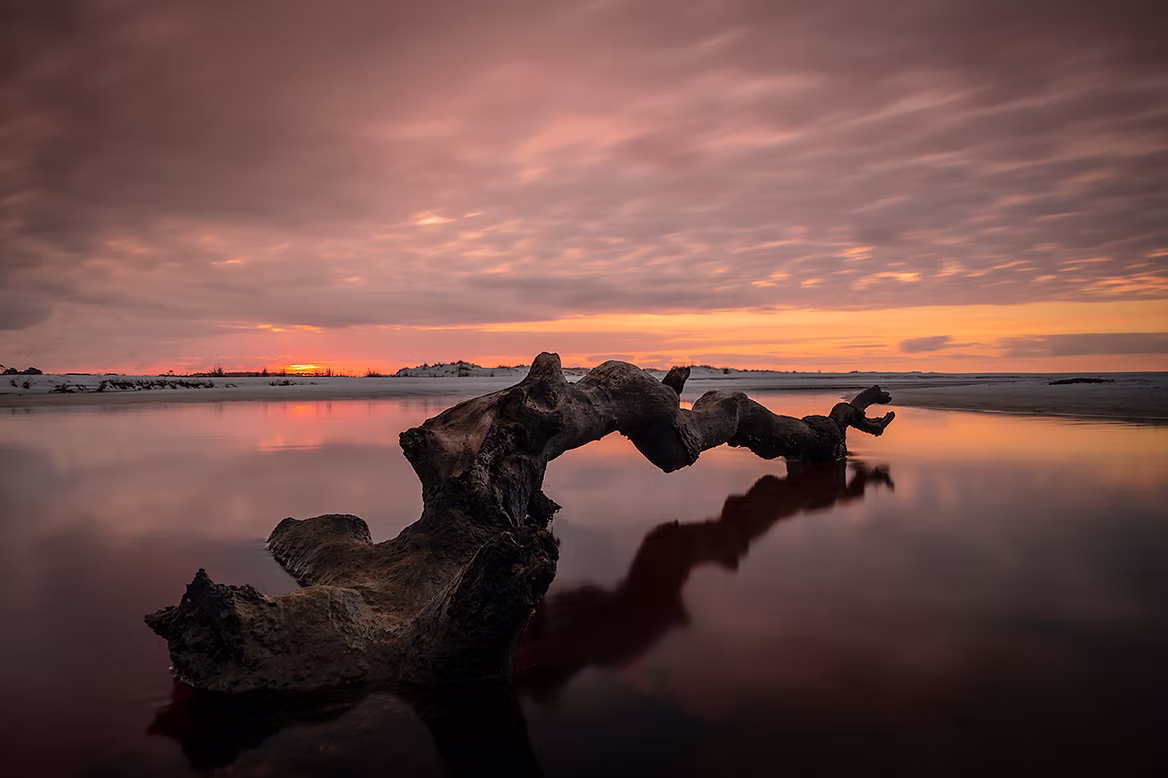 driftwood-beach-sunset.jpg