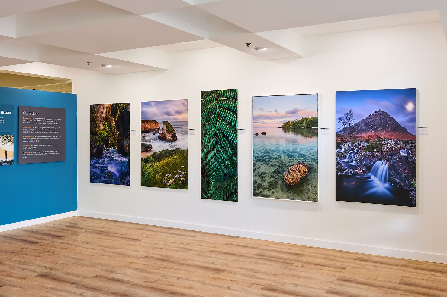 bay-gallery-3.jpg