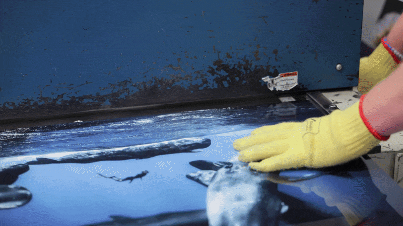 the-printing-process.gif