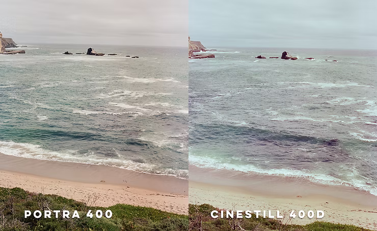 comparison-2.jpg