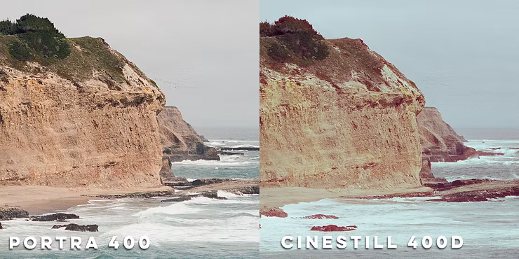 crop-comparison.jpg