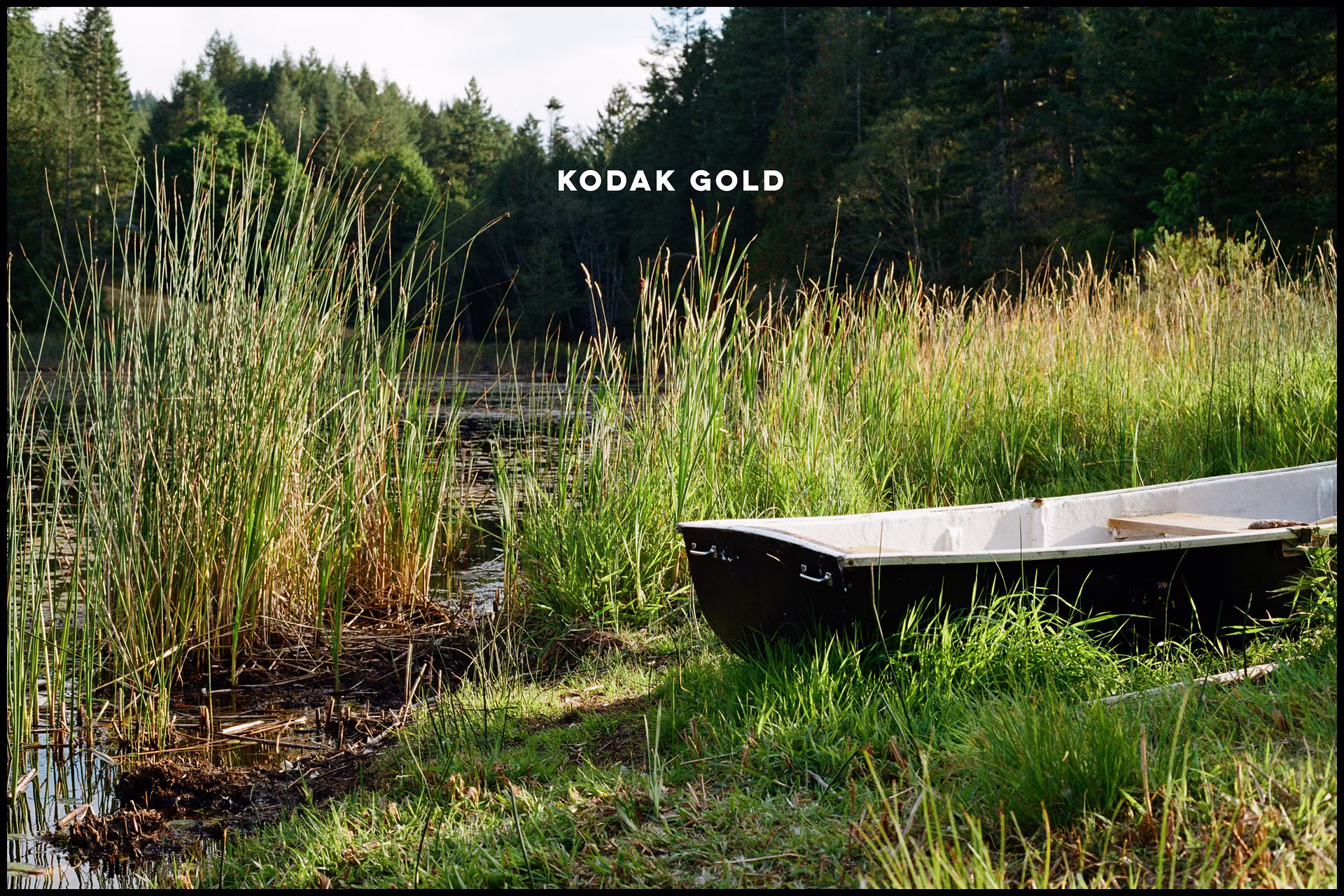 kodak-gold-pond.jpg