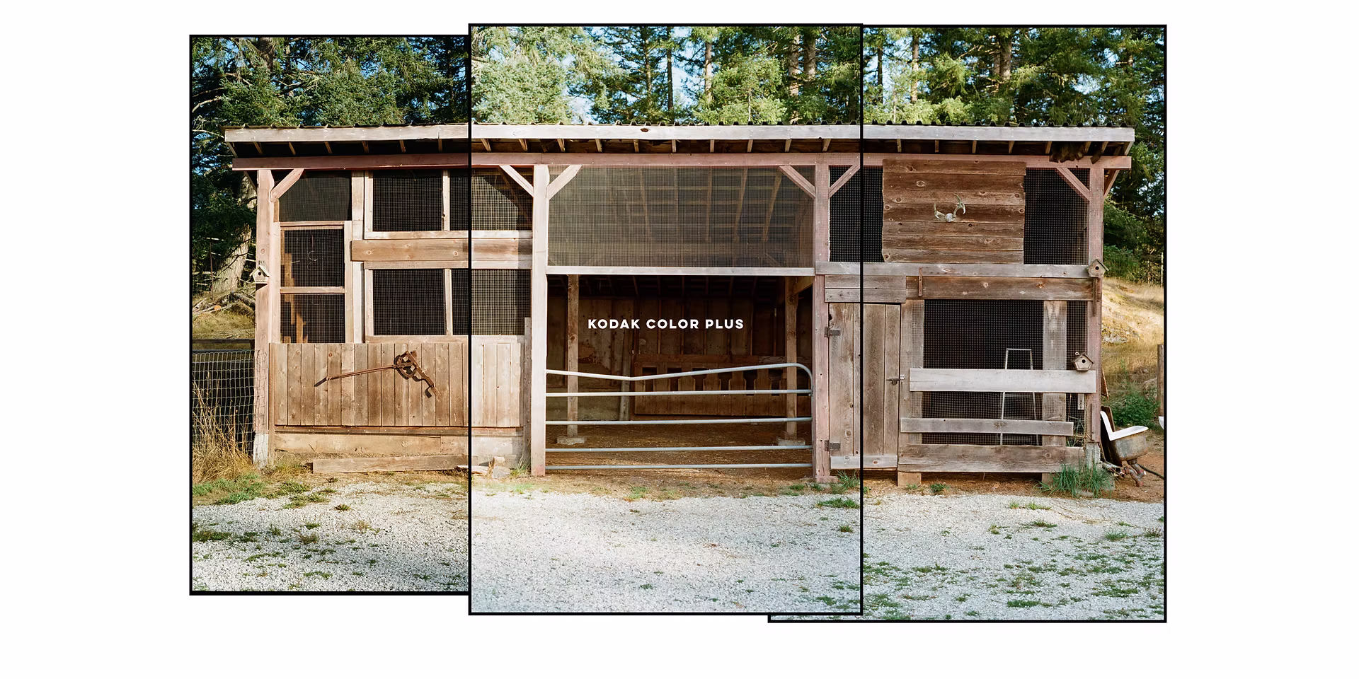 kodak-color-plus.jpg