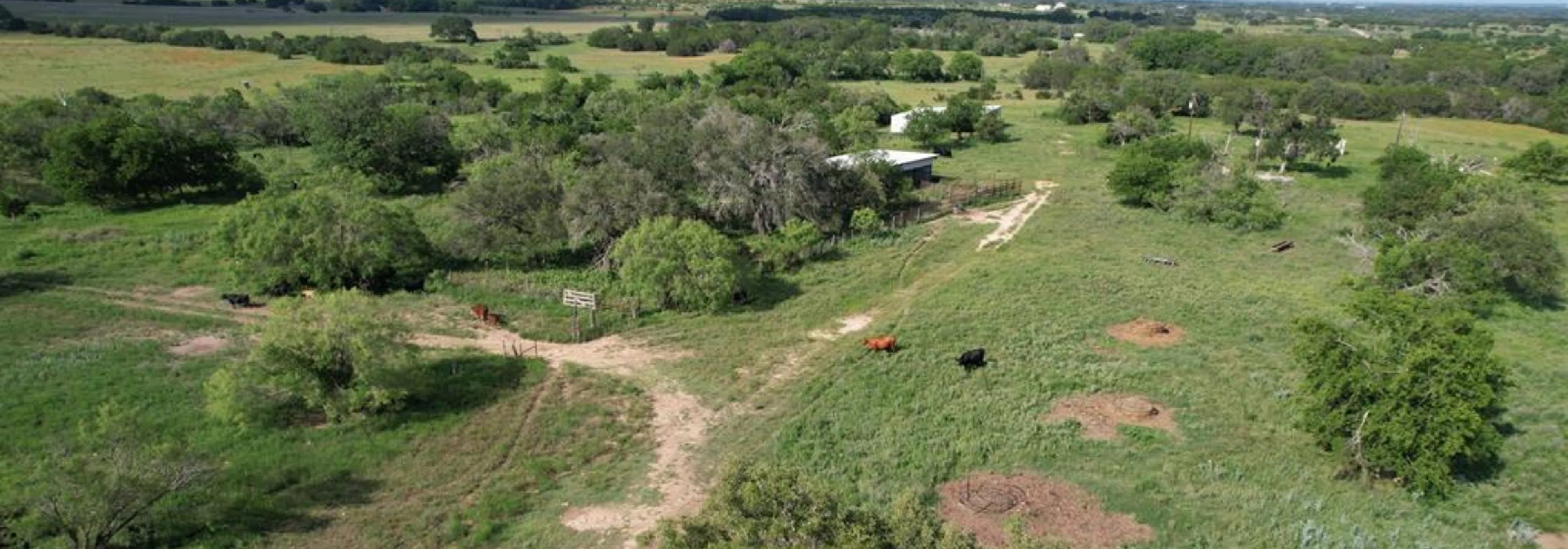 151 Acres County Road 200 Burnet TX: Ranchette Development Land for Sale | No Restrictions - Blog image