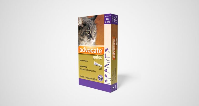 advocate-gatos-768x409.jpg