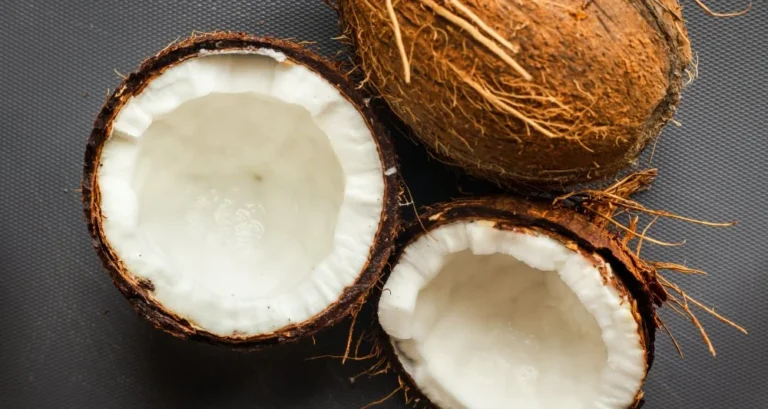 Foto ilustrativa do artigo: Cachorro pode comer coco? Benefícios e como dar