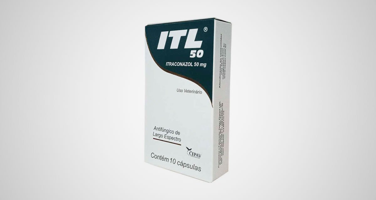 Foto ilustrativa do artigo: Itraconazol para gatos: para que serve, como dar e efeitos colaterais