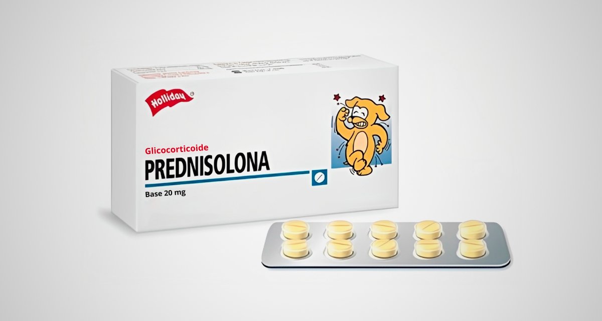 prednisolona.jpg