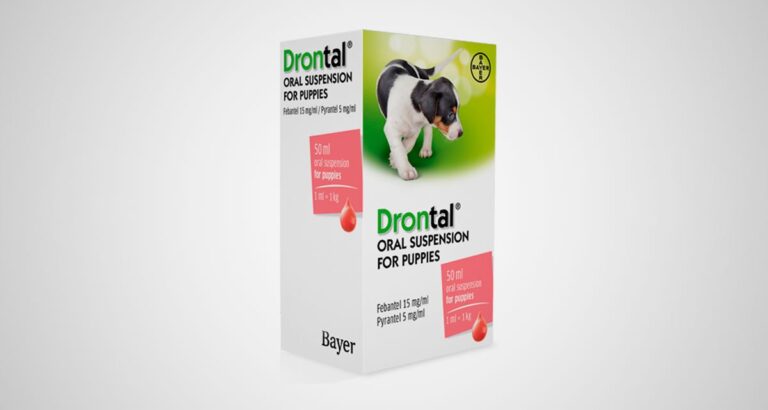 drontal-puppy-768x410.jpg