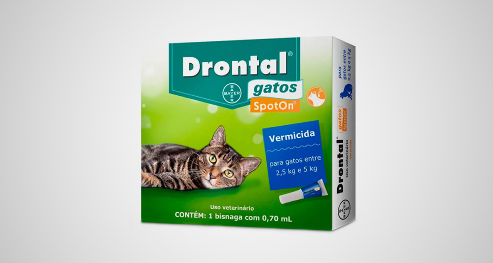 Foto ilustrativa do artigo: Drontal gatos: para que serve, como usar (e efeitos colaterais)