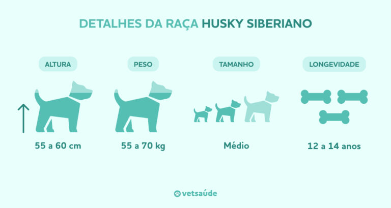 husky-siberiano-caracteristicas-1-768x409.jpg