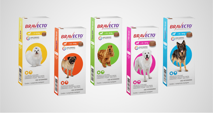 Foto ilustrativa do artigo: Bravecto: para que serve, dose (e quanto tempo dura)