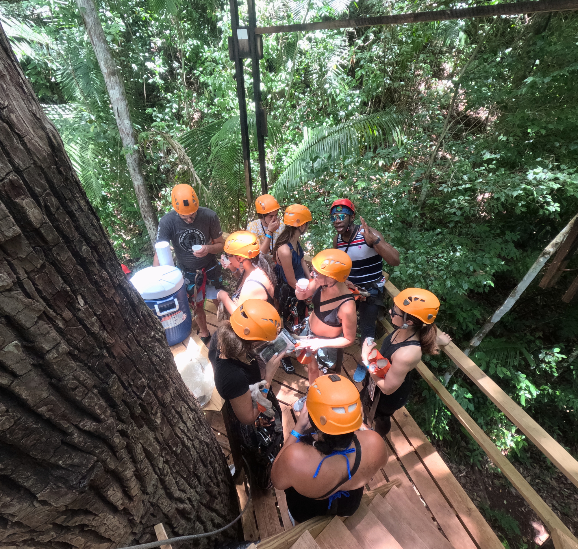 Jungle Zipline at Caves Branch