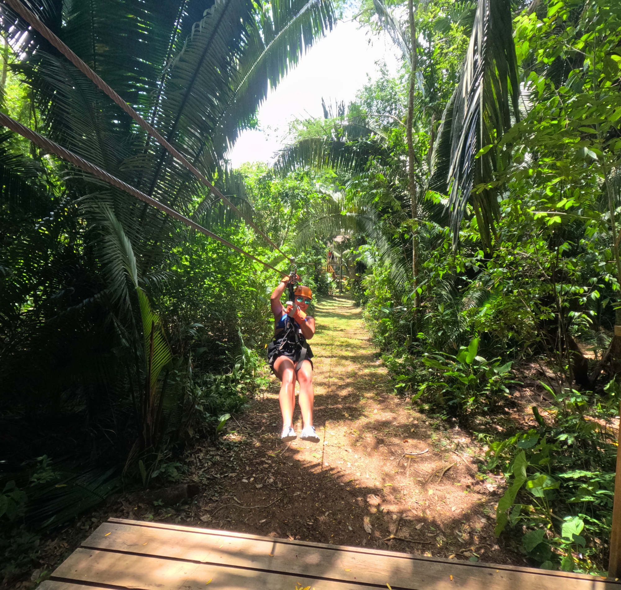 Jungle Zipline at Caves Branch