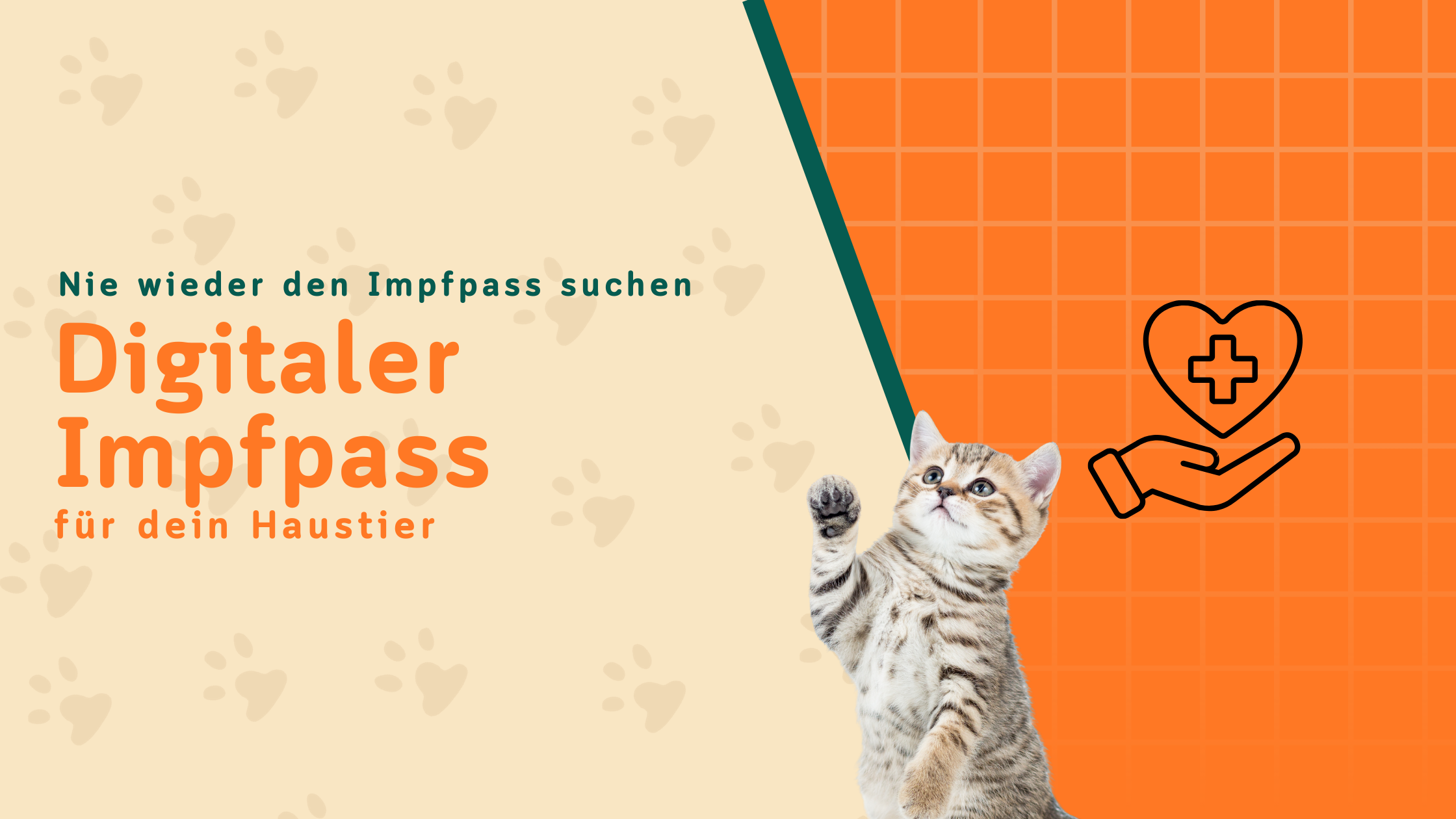 Warum ein digitaler Impfpass für dein Haustier sinnvoll ist