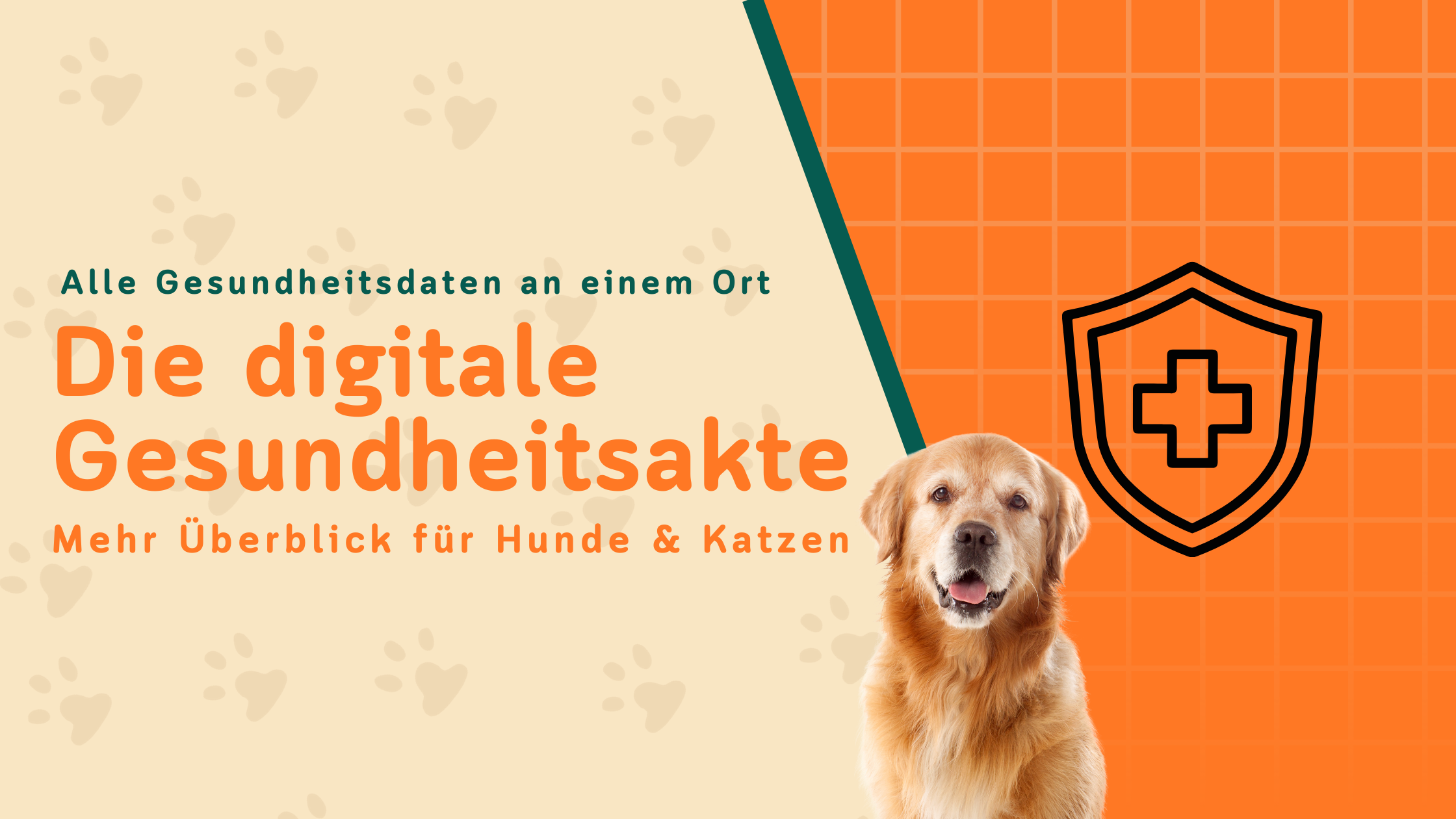 Die digitale Gesundheitsakte für dein Haustier