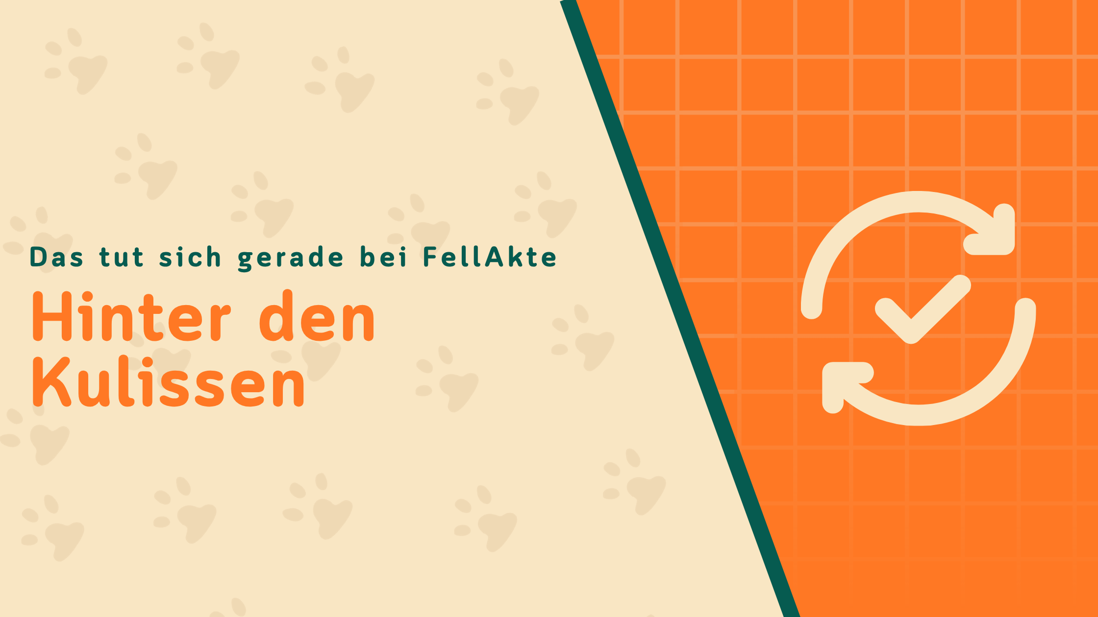 Hinter den Kulissen: Das tut sich gerade bei FellAkte