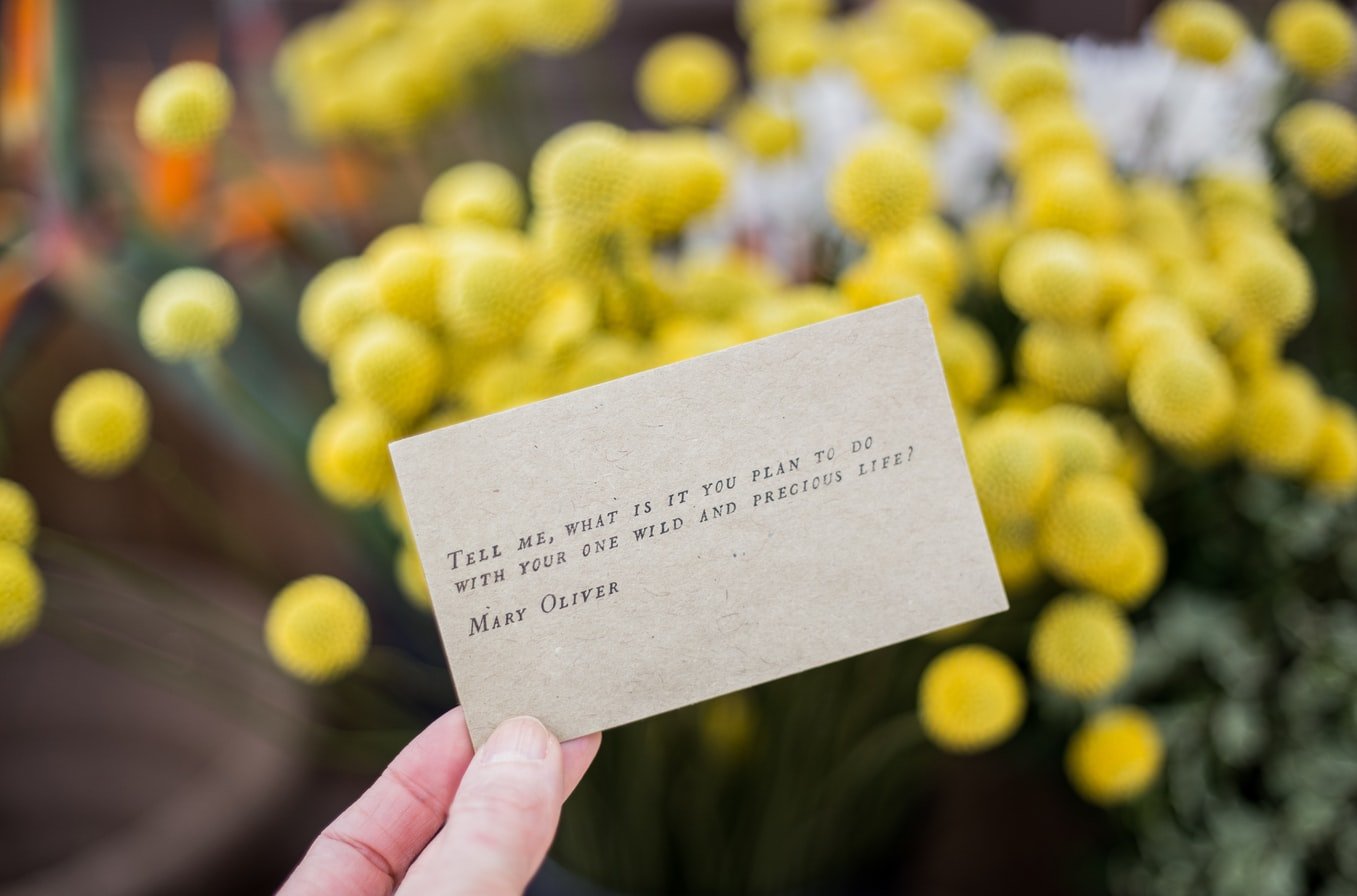 Dear Future Client