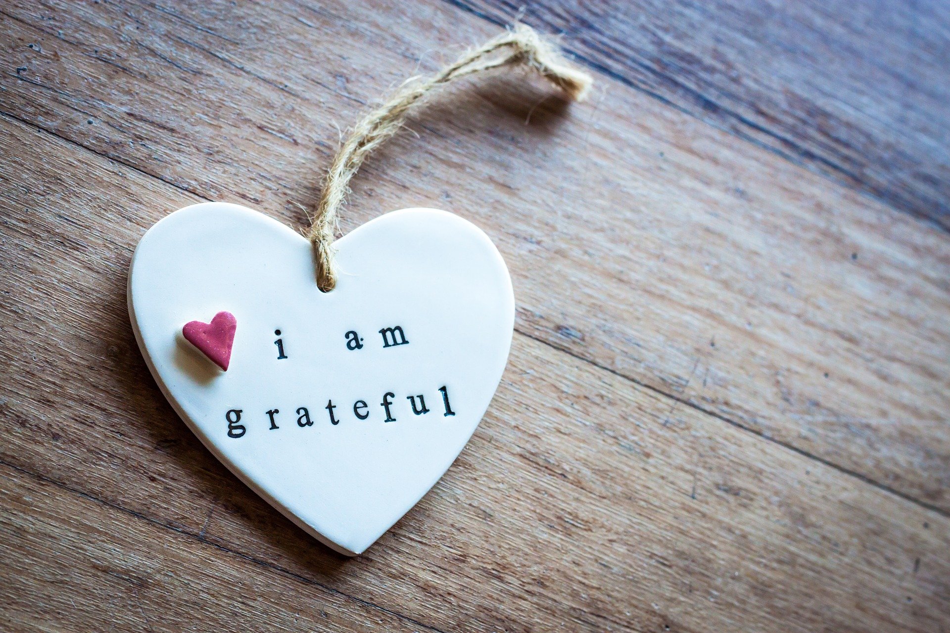 Cultivating Your Appreciator