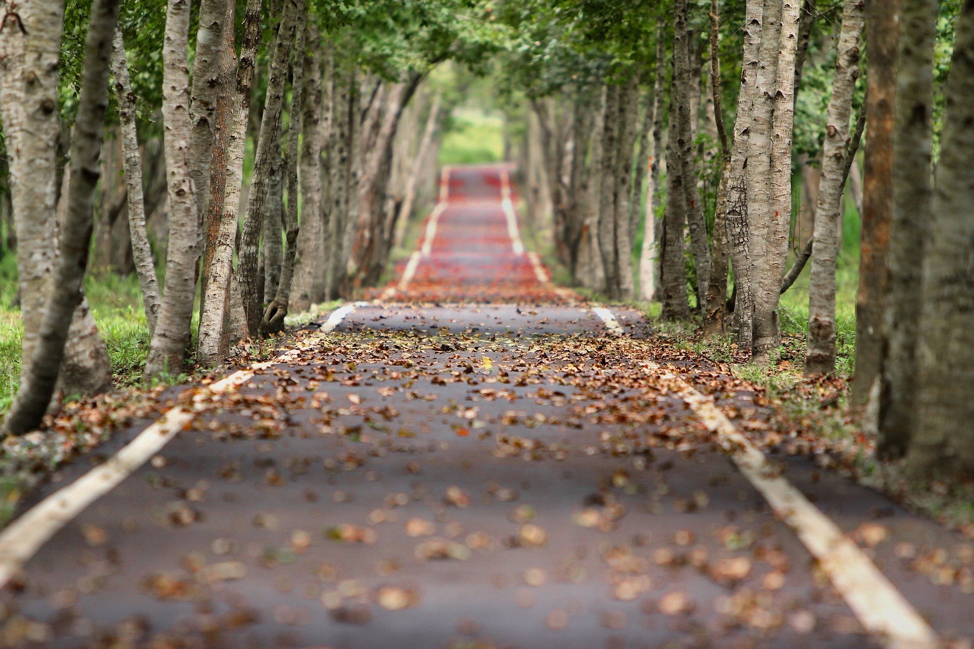 Deciding: The pathway to your own personal power