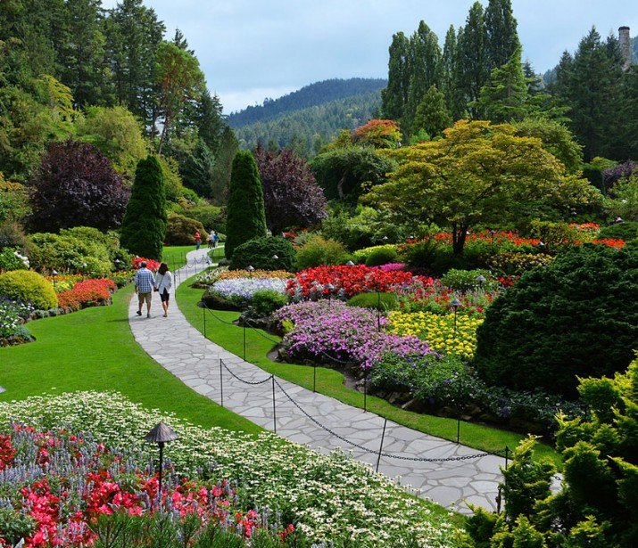 How to turn a limestone quarry into a lush garden
