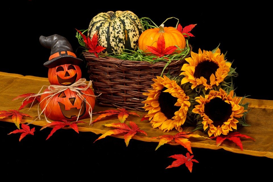 Embrace life the way a 4-year-old would celebrate Halloween