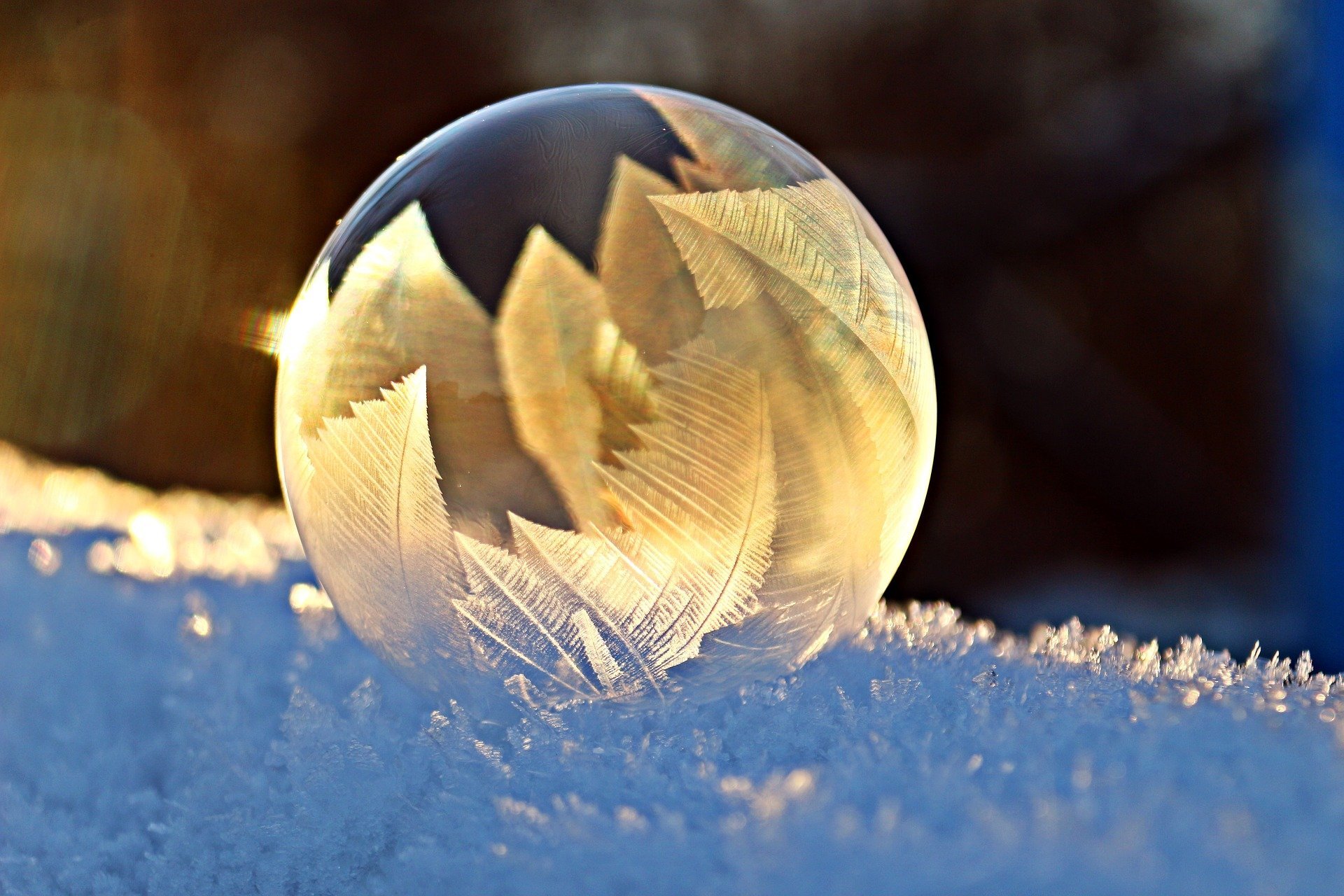 Embracing the Winter of the Mind