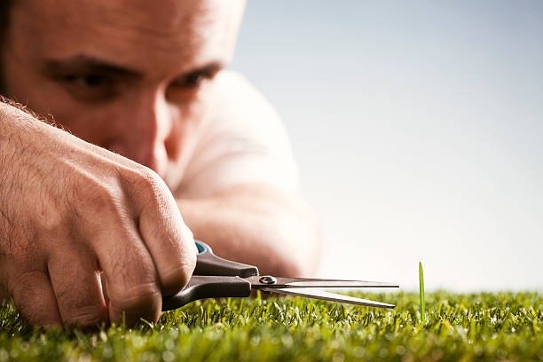 Perfection Detox: Learning to trust yourself