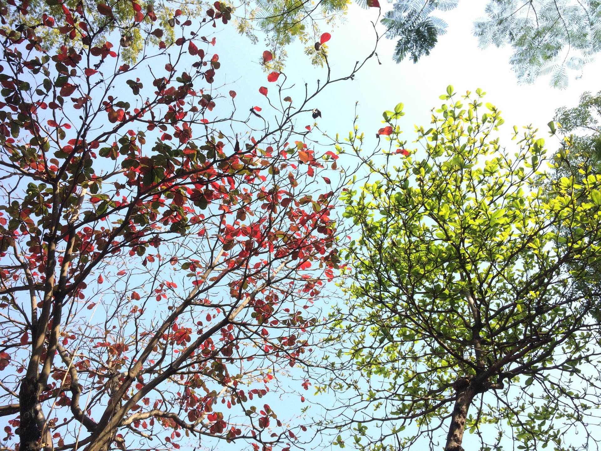Embracing the change in seasons