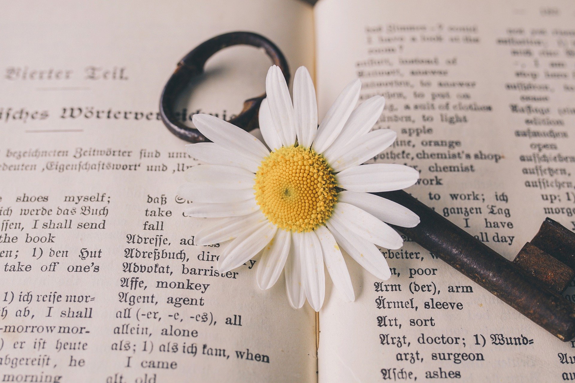 What’s your word or theme for the year?