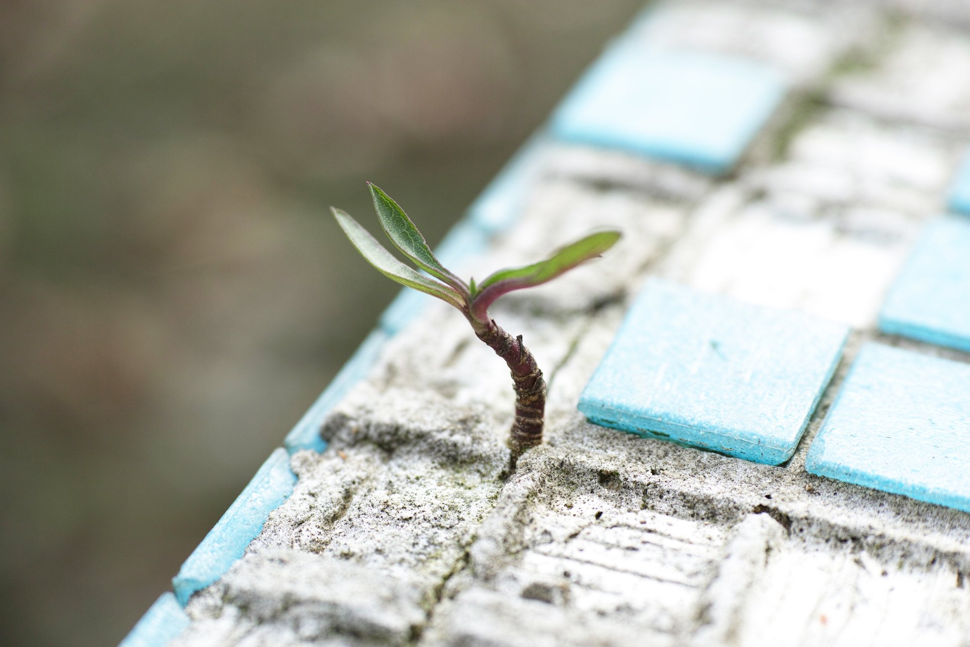Reconnecting with a sense of hopefulness