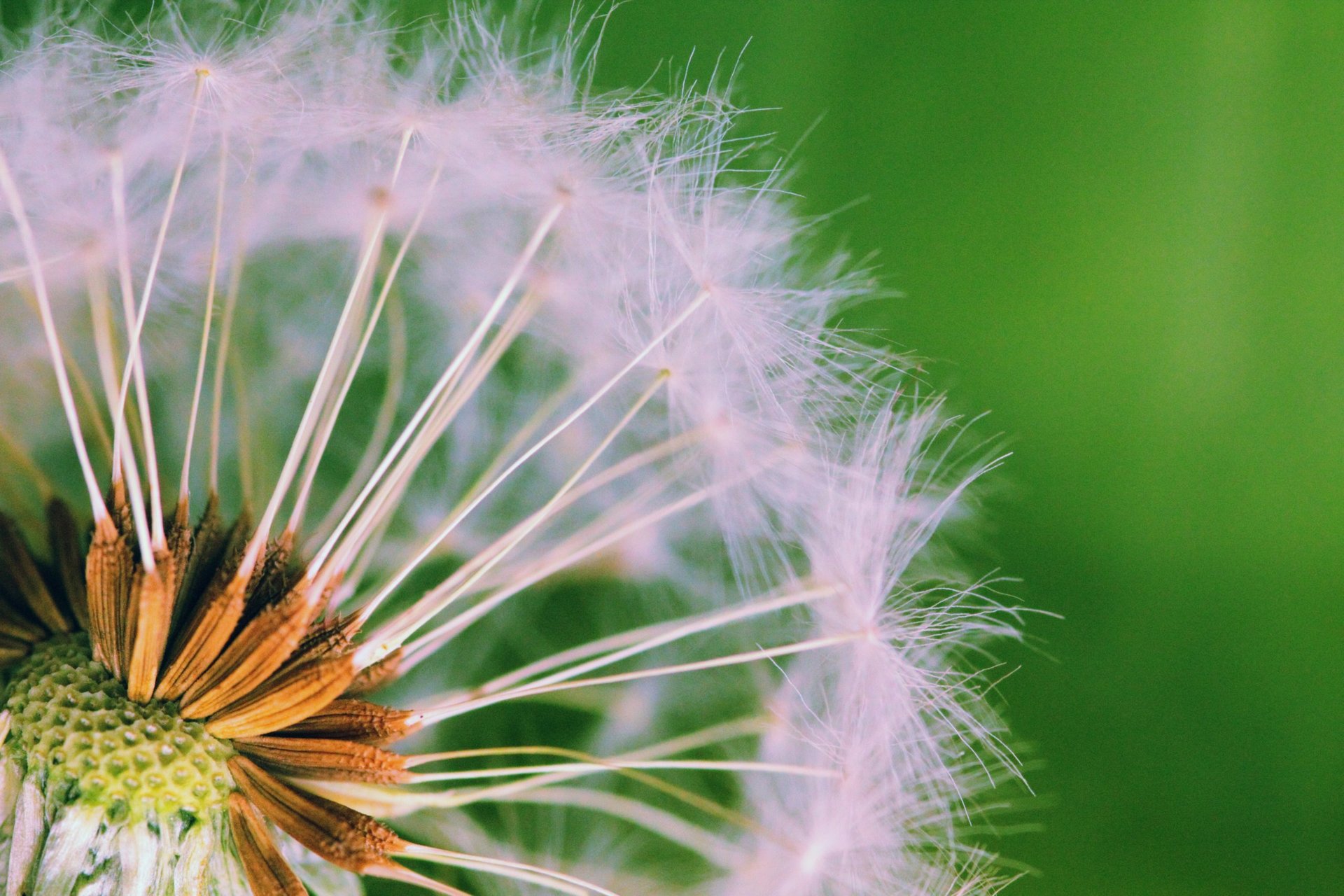 You are the seed of your future self