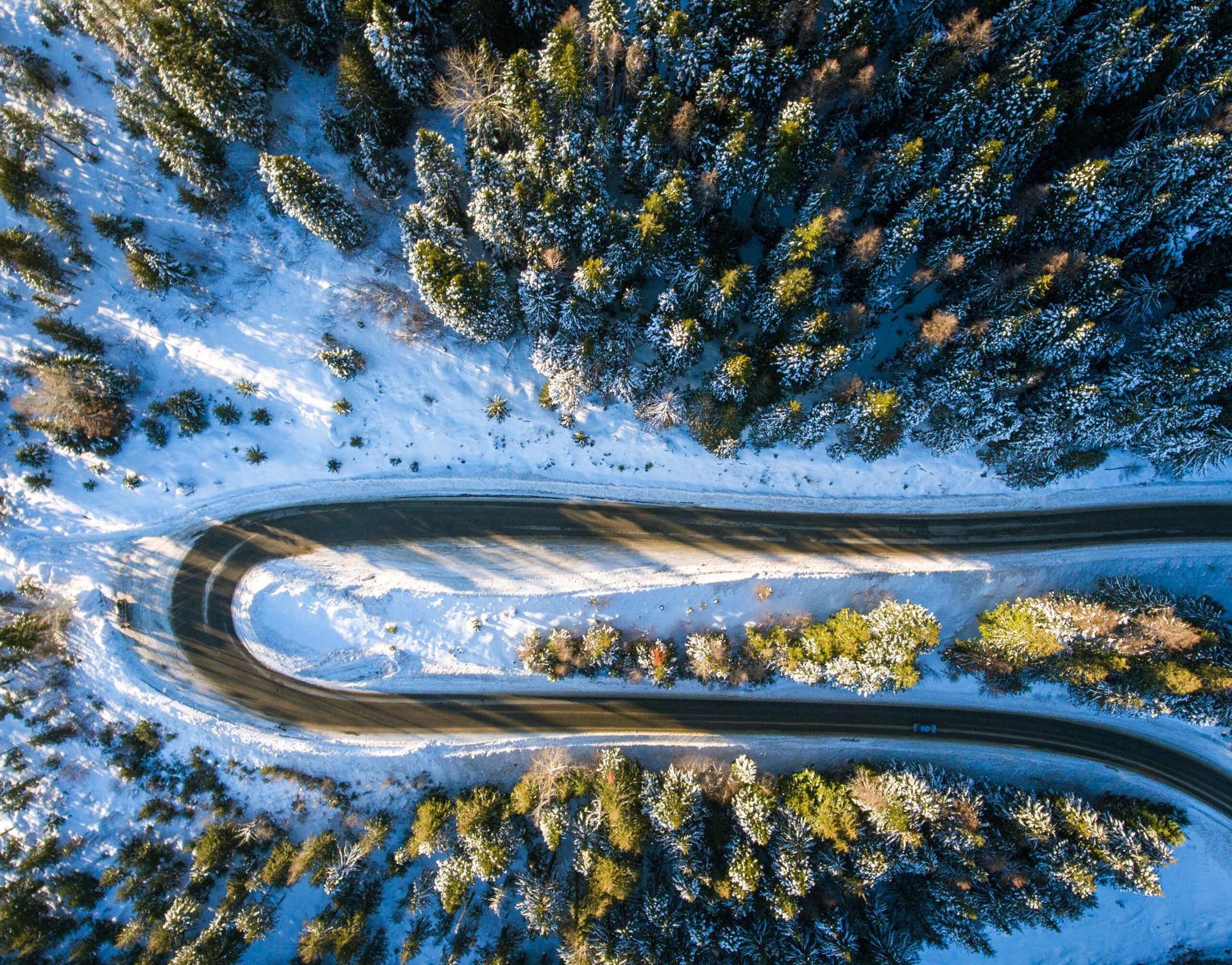 Why it serves you to slow down at the Beginning of a New Year