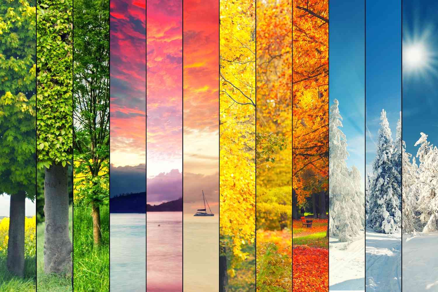 What season of Life are you in right now?