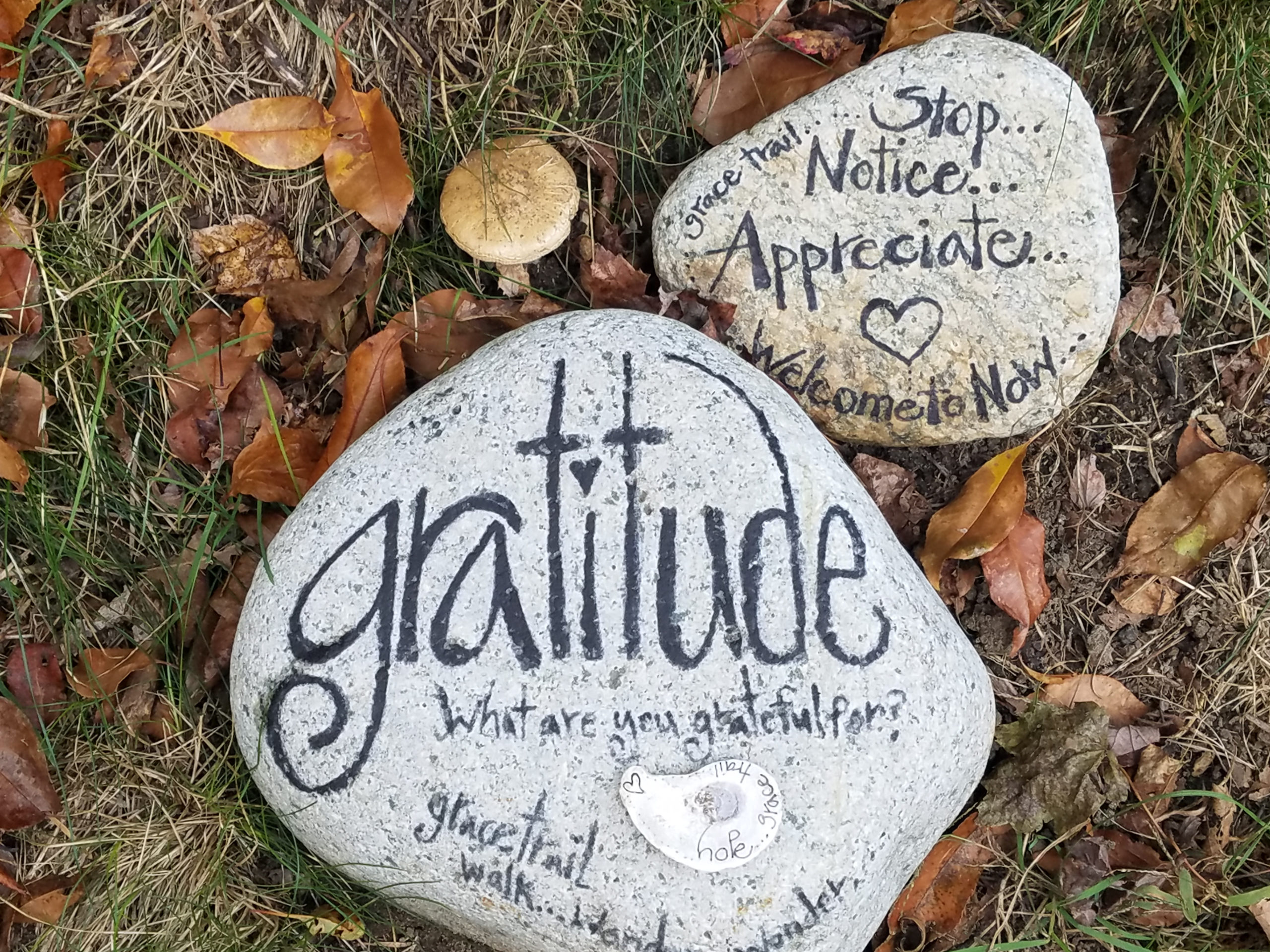 You can be grateful and unfulfilled at the same time...