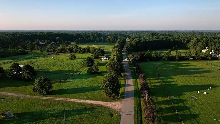 Wellington Reserve - A New Frontier of Estate Living in South Raleigh