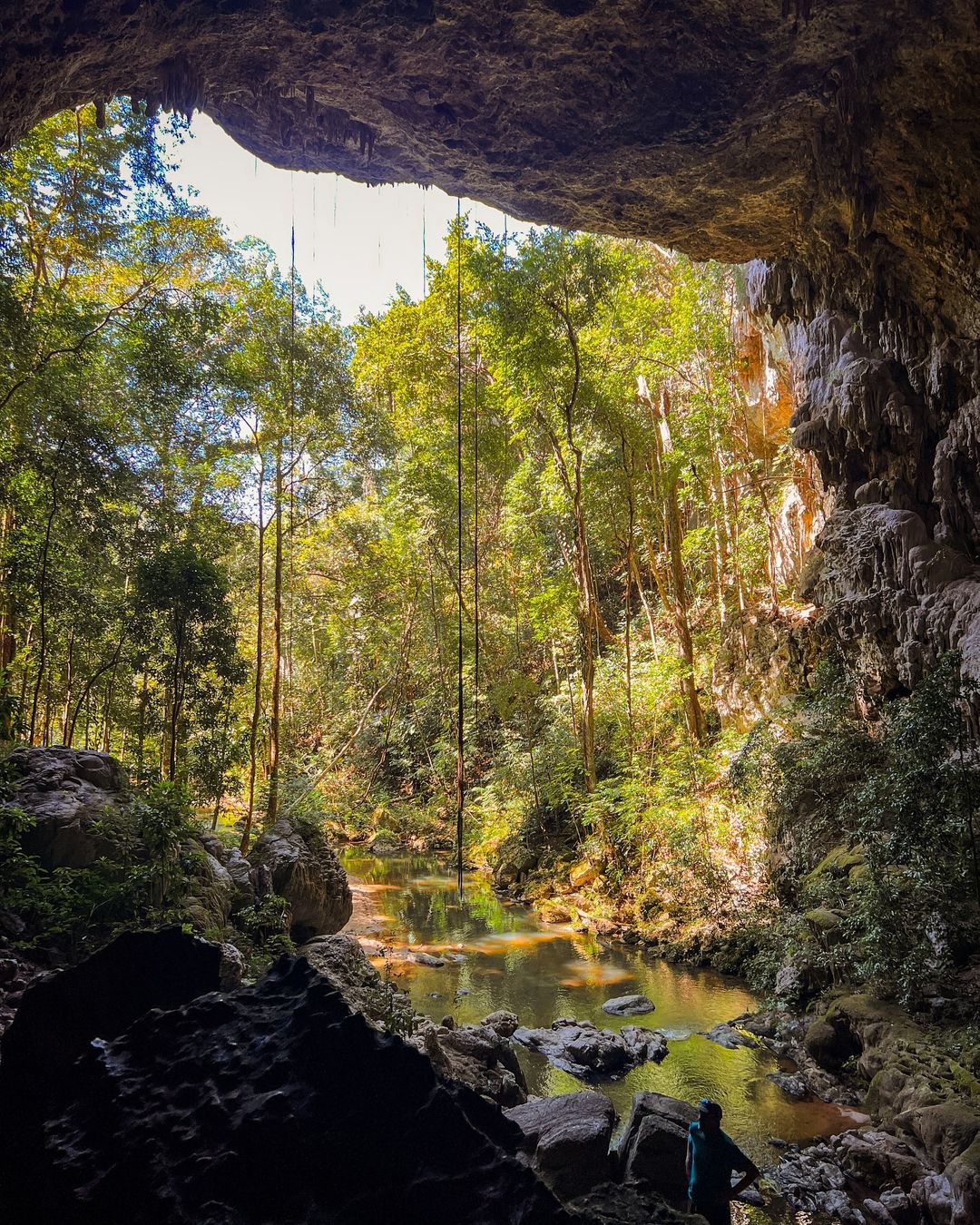 Mountain Pine Ridge