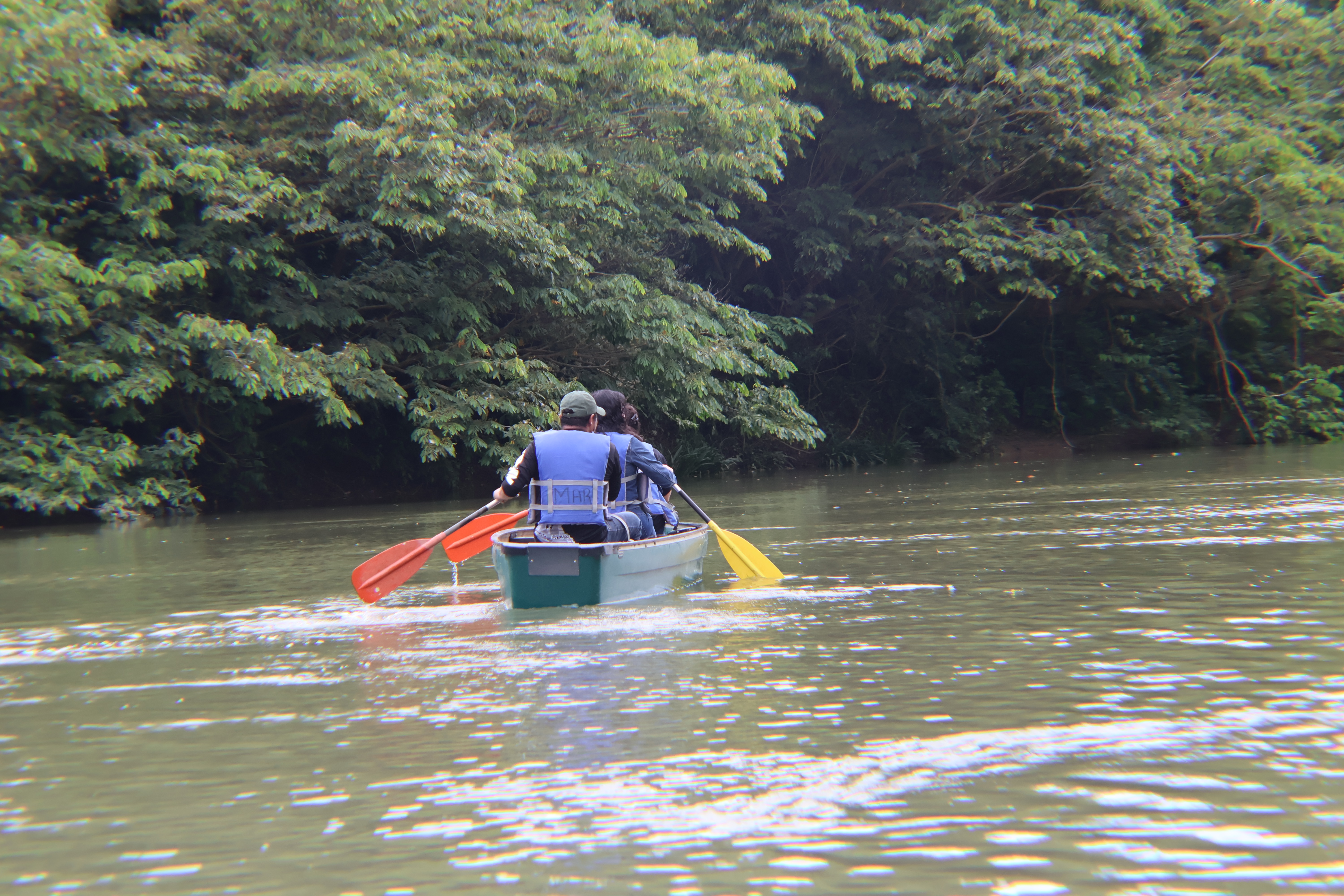 Belize River Canoeing (Ruta Maya Experience)