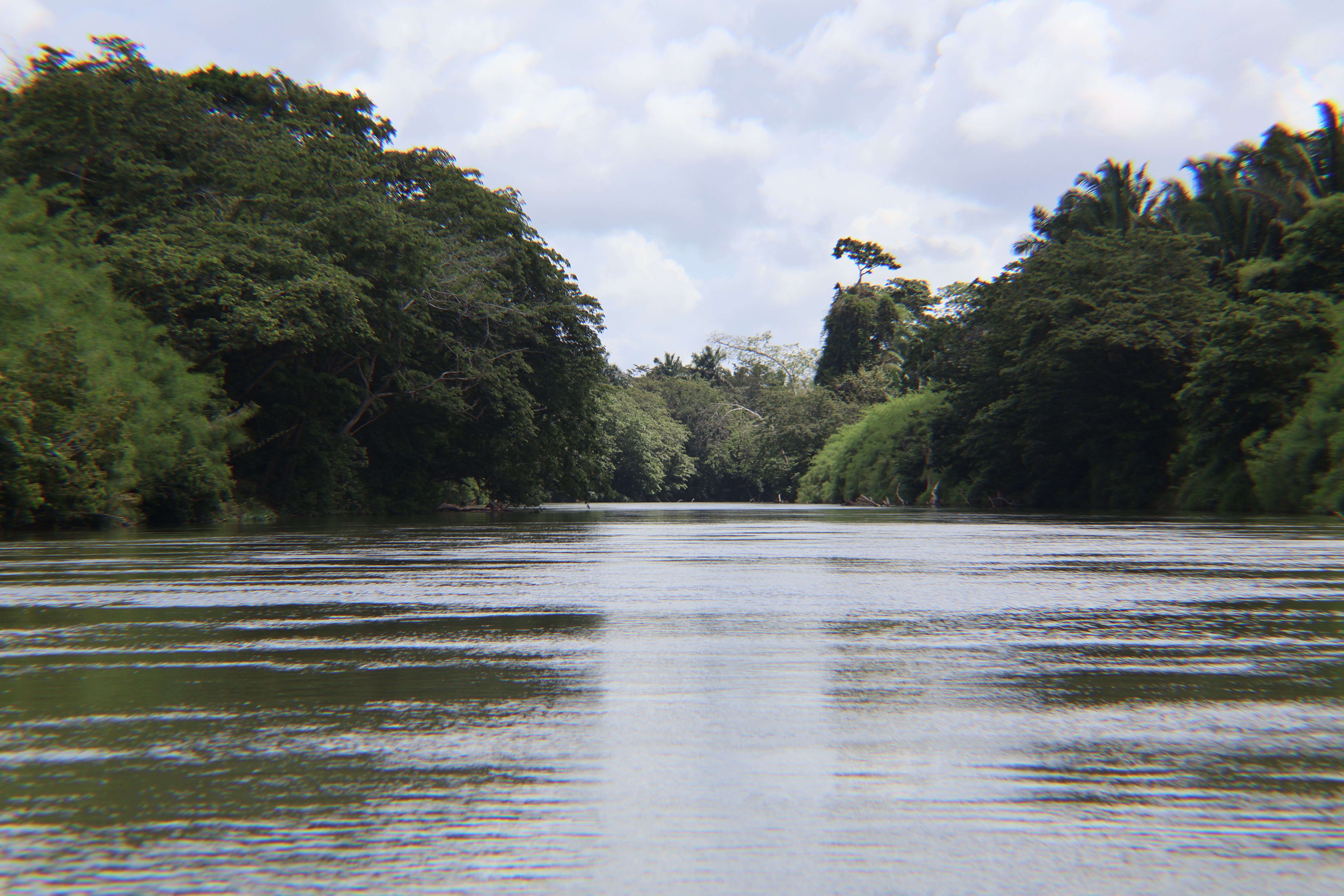 Belize River Canoeing (Ruta Maya Experience)