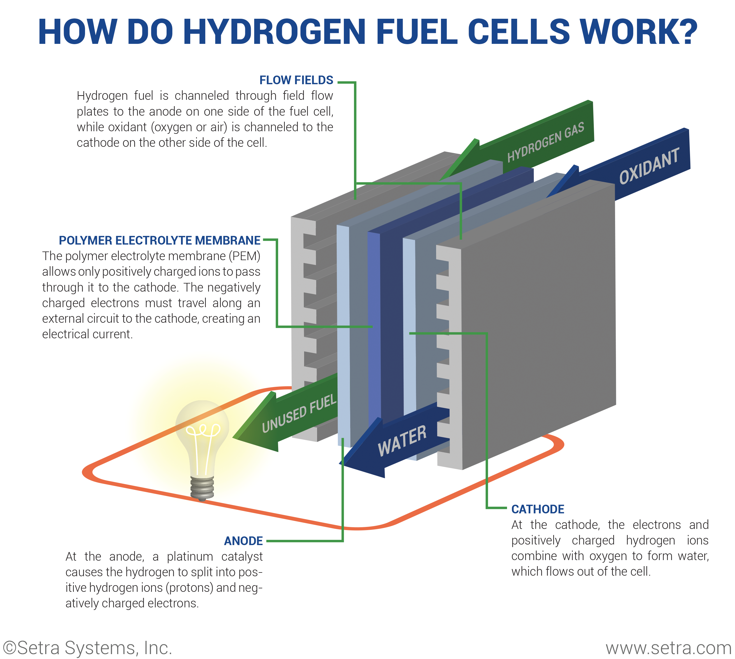 How do Hydrogen Fuel Cells Work Inforgraphic