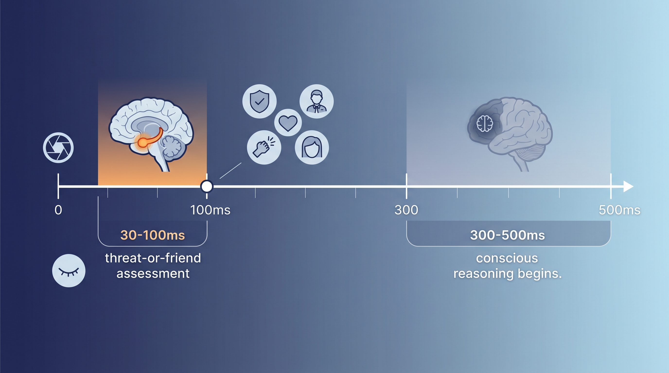 Infographic illustrating the brain's rapid face evaluation timeline, showing amygdala activation at 30-100 milliseconds compared to conscious reasoning at 300-500 milliseconds, with visual comparisons to a camera shutter speed and an eye blink.