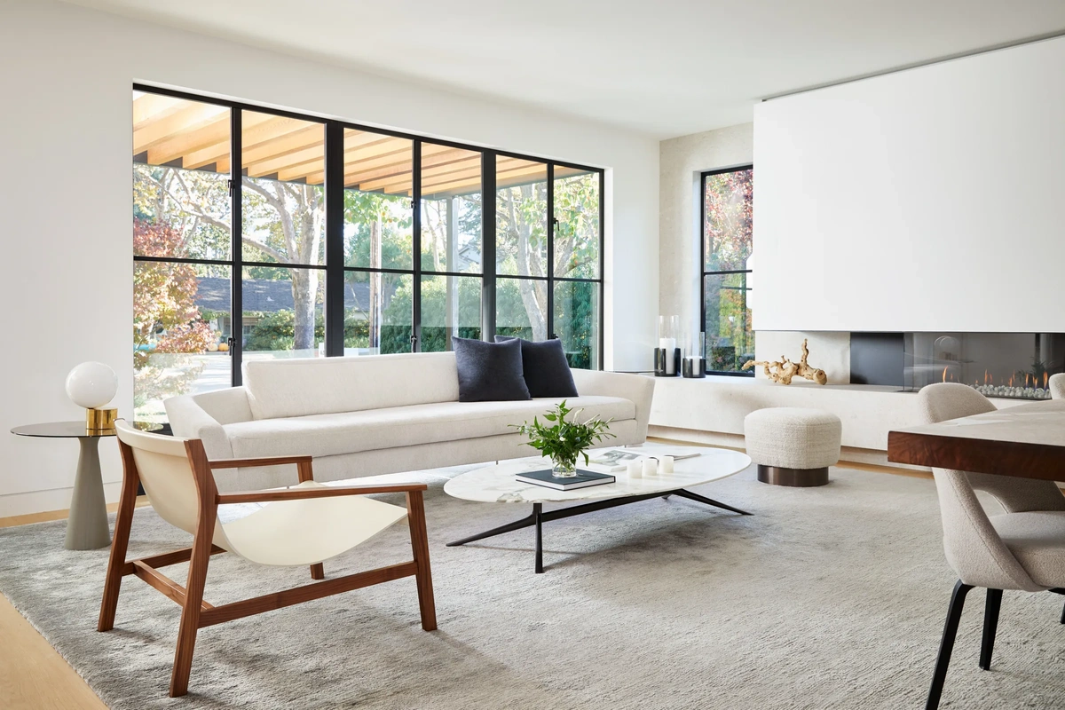 Minimalist Contemporary Living Room - View 1