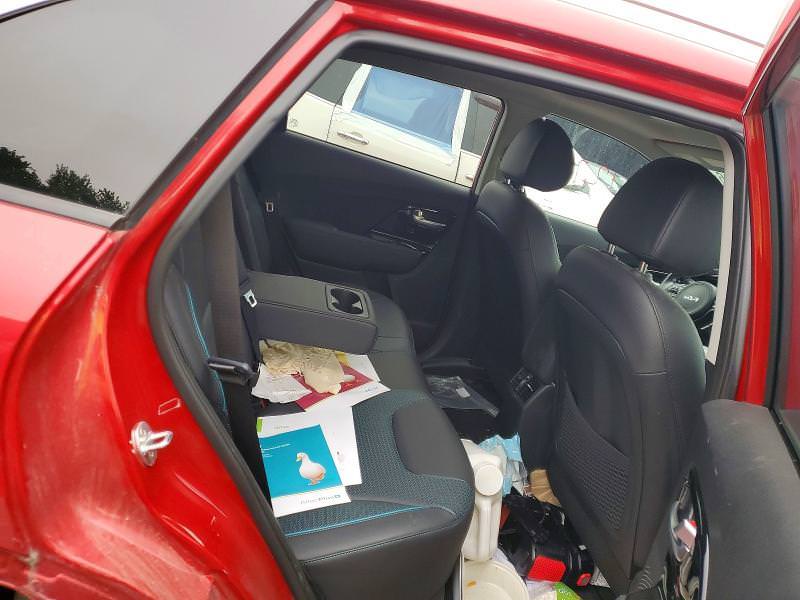 KIA NIRO EX PREMIUM, 2021 — купити у Городку, фото 11
